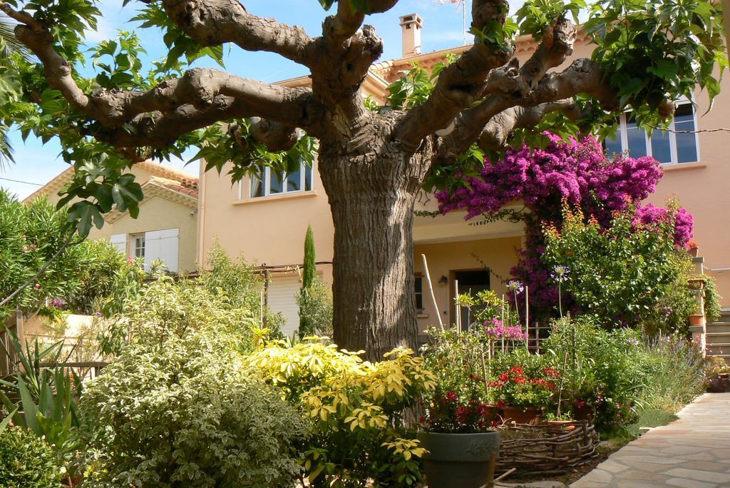 Bed and Breakfast L' Escale Tranquille Sète Exterior foto