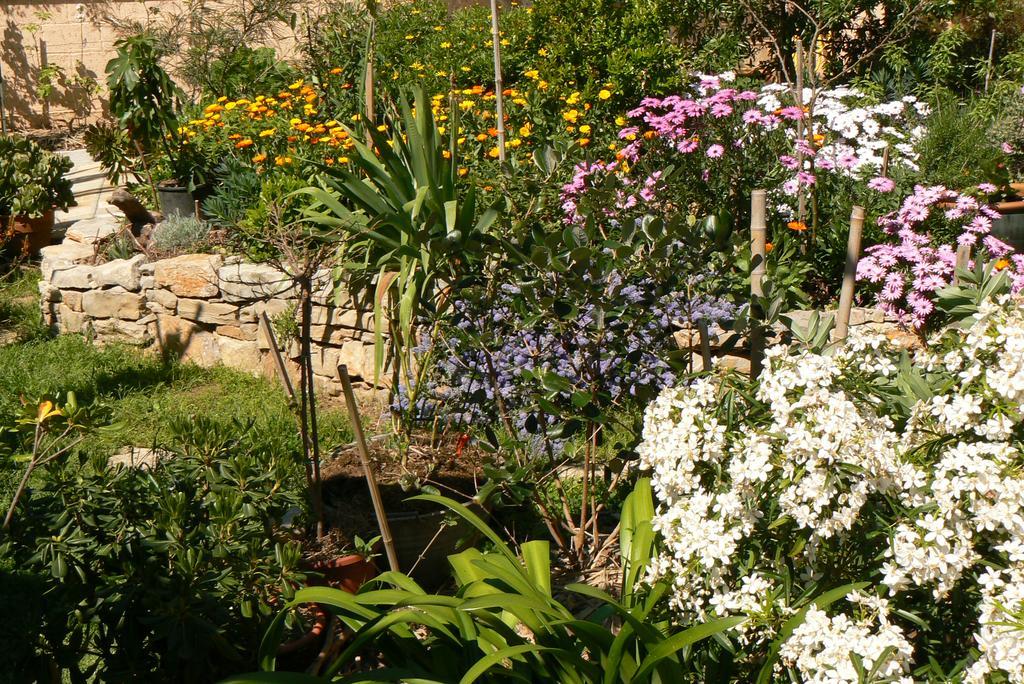Bed and Breakfast L' Escale Tranquille Sète Exterior foto